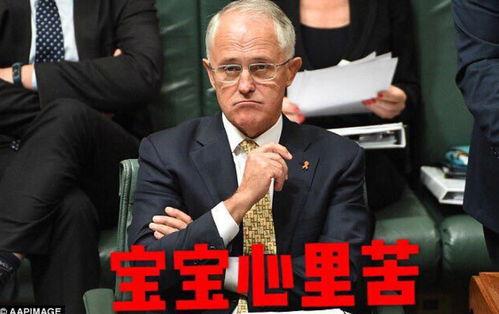 鲁迅怎么描写吃瓜群众,冷漠与围观的社会众生相