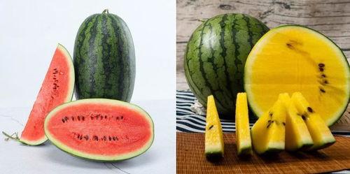 解决中国吃瓜难,创新举措引领健康饮食新风尚