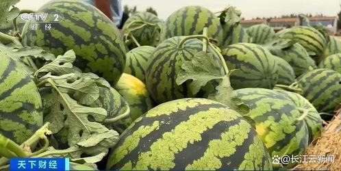 最新吃瓜热门,揭秘明星背后的惊人真相！