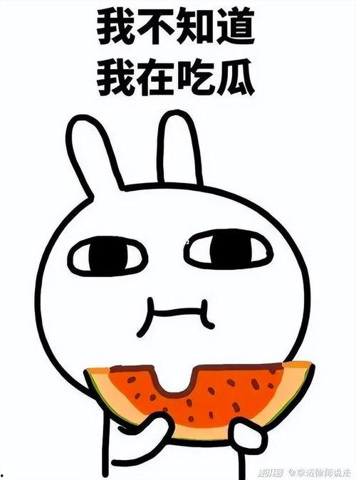 贺某人吃瓜,揭秘娱乐圈幕后故事