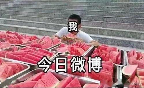 吃瓜每日大赛投稿