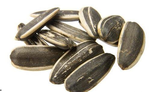 吃瓜拿瓜子,揭秘瓜果时光的休闲享受