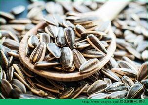 吃瓜拿瓜子,揭秘瓜果时光的休闲享受