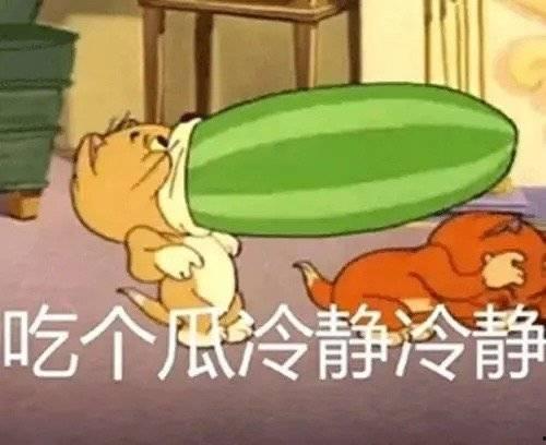 不是睡觉就是吃瓜