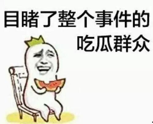 apo吃瓜群众,揭秘娱乐圈幕后风云