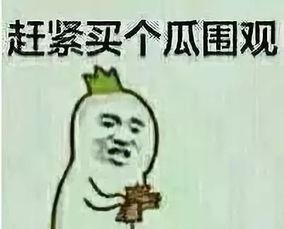 apo吃瓜群众,揭秘娱乐圈幕后风云