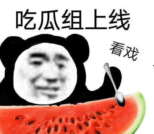 吃瓜吃的明白吗,如何吃得明白，看透娱乐圈风云