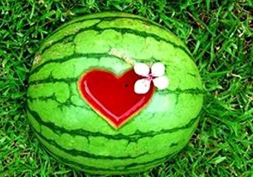 孕妇梦见吃西瓜吃哈密瓜,西瓜与哈密瓜的甜蜜寓意