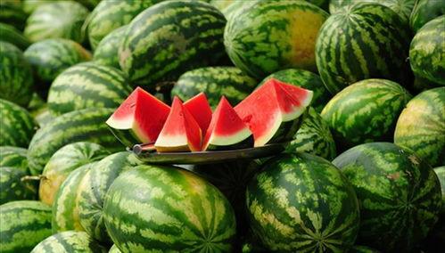 吃瓜要甜,探寻“吃瓜要甜”的奥秘与魅力