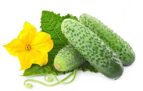 吃瓜系统江渝,揭秘吃瓜系统背后的故事与影响