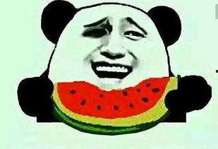 大爷喊命令吃瓜