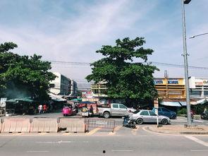 大城信誉楼 吃瓜,揭秘吃瓜群众的消费新趋势