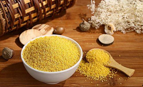 吃瓜盟主评小米,小米的崛起之路