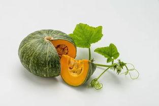 吃瓜长视频玩具