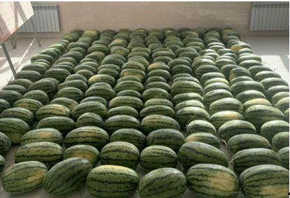 校园吃瓜途径,揭秘校园八卦背后的秘密