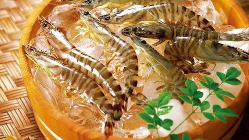 刘大瓜吃名贵海鲜,名贵海鲜盛宴大揭秘