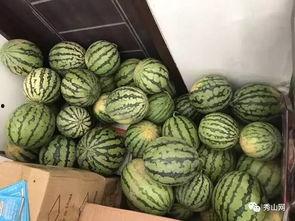 武陟温县吃瓜视频,揭秘当地特色美食与风土人情