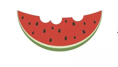 饼干吃瓜网名可爱,甜蜜瓜果间的欢乐时光