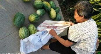 长垣最新吃瓜视频,揭秘当地热门事件背后的真相