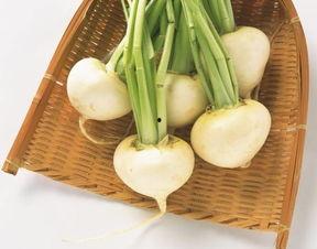 白小菜吃瓜记,一场趣味横生的乡村生活盛宴