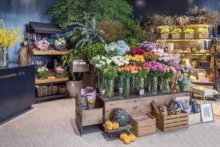 花店吃瓜爆料,揭秘花店界的那些秘密与趣闻
