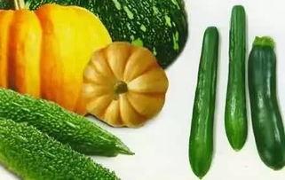 吃瓜vivi,揭秘娱乐圈幕后故事