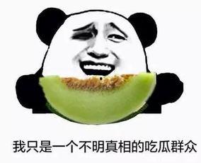 吃瓜群众有点眼熟