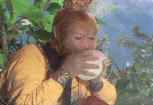 悟空吃瓜超市视频,一场别开生面的美食盛宴