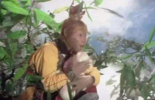 悟空吃瓜超市视频,一场别开生面的美食盛宴