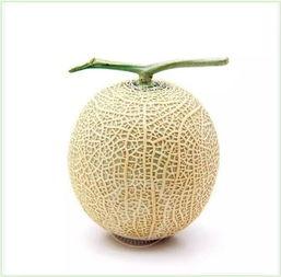 吃瓜用什么头像