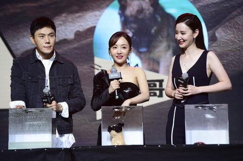 吃瓜新娱乐,揭秘娱乐圈幕后故事