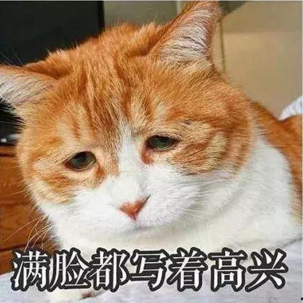 动物吃瓜带你吃瓜的故事