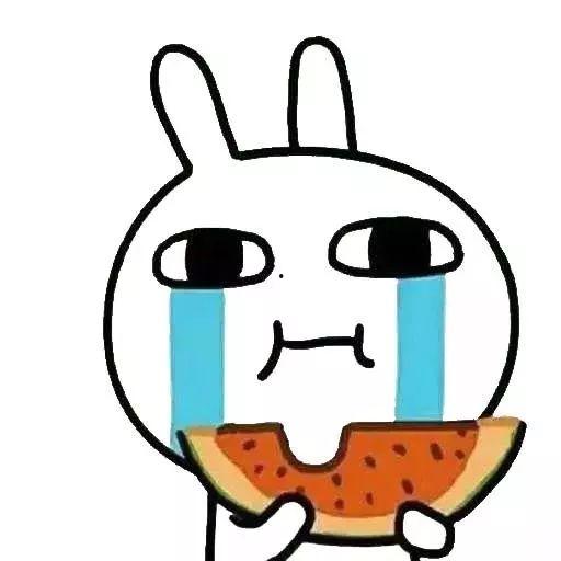 动物吃瓜带你吃瓜的故事