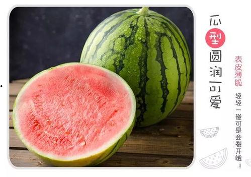 法考界吃瓜,揭秘那些年我们一起“吃瓜”的日子