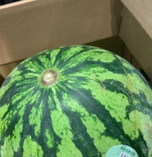 吃瓜网视频真假,真假难辨，真相究竟如何？