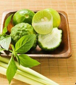 ob青训吃瓜,揭秘足球新星背后的“吃瓜”故事