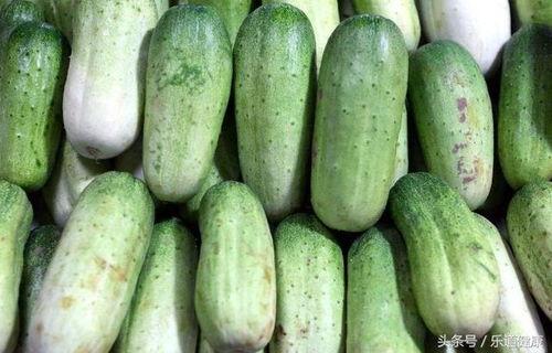 ob青训吃瓜,揭秘足球新星背后的“吃瓜”故事