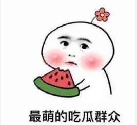 吃瓜的小臭臭,网络红人的崛起与影响力