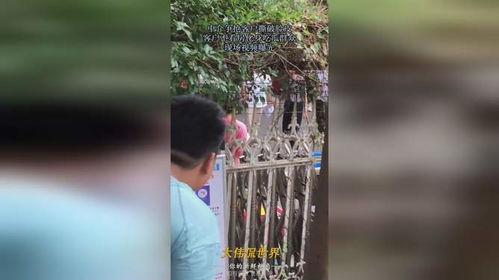 完美吃瓜现场视频