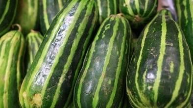 带你吃瓜吃了个大瓜