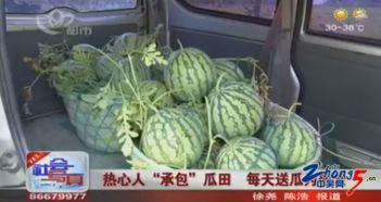 天天瓜田里吃瓜